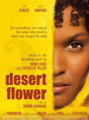 Centro Desert Flower