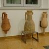 Museo Civico Archeologico | Anfore