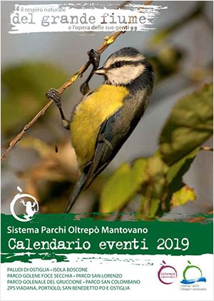 Calendario Eventi Sipom 2019