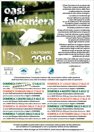 Oasi Falconiera | 2019