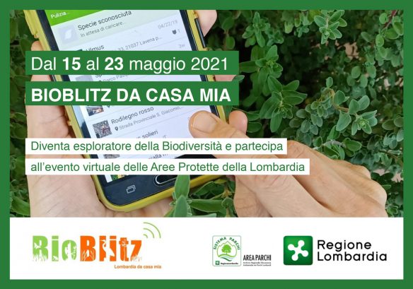 BioBlitz Lombardia 2021