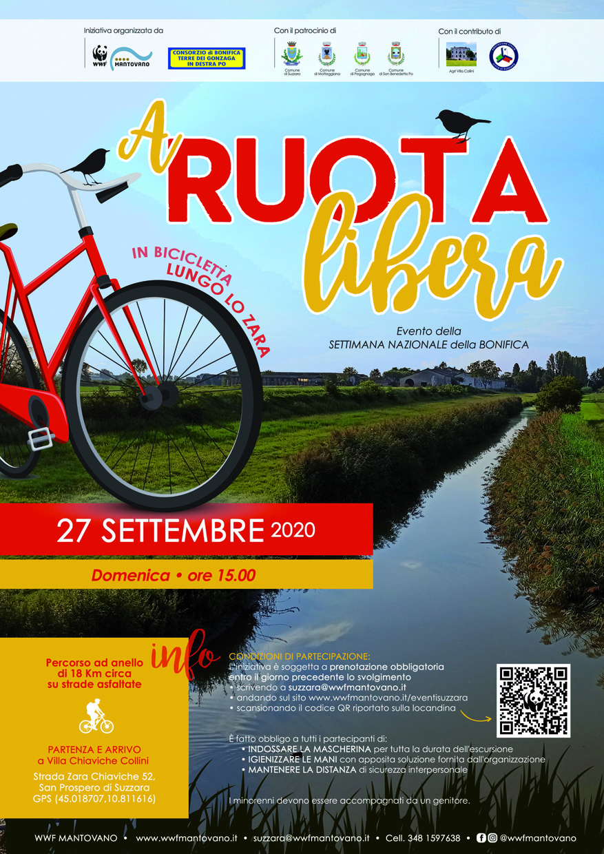 A ruota libera