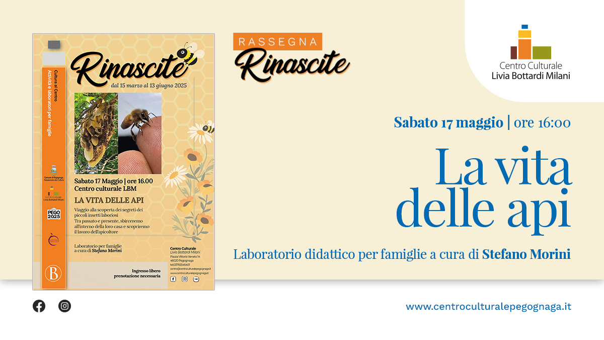 La vita delle api